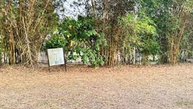 Land for sale in Don Jose, Laguna