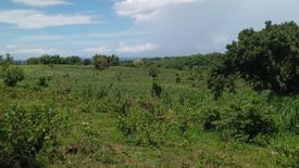 Land for sale in Mayabon, Negros Oriental