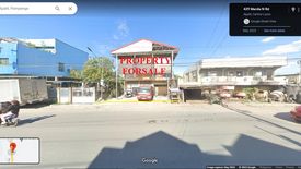 Land for sale in San Vicente, Pampanga