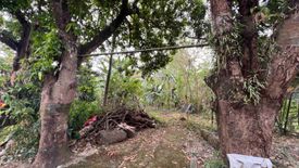 Land for sale in Batasan Hills, Metro Manila