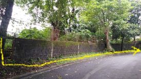 Land for sale in Pansol, Metro Manila