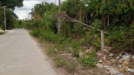 Land for sale in Sambog, Bohol