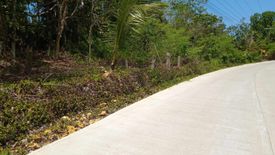 Land for sale in Sambog, Bohol