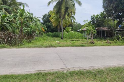 Land for sale in Enrique Villanueva, Negros Oriental