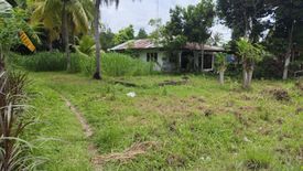 Land for sale in Enrique Villanueva, Negros Oriental