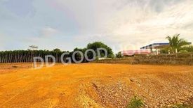 Land for sale in Tha Yang, Nakhon Si Thammarat