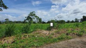 Land for sale in Riomonte, Barangay 1, Laguna