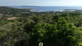 Land for sale in Puting-Kahoy, Batangas