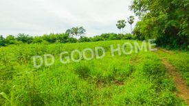 Land for sale in Bua Chum, Lopburi