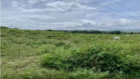 Land for sale in Sambong, Cavite