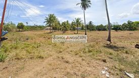 Land for sale in Tulang, Bohol