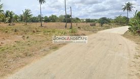 Land for sale in Tulang, Bohol