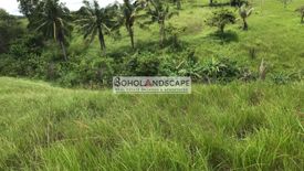 Land for sale in Tulang, Bohol