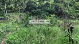 Land for sale in Tulang, Bohol