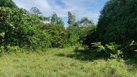 Land for sale in Bancasan, Cebu