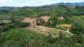 Land for sale in Tha Yu, Phang Nga