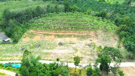 Land for sale in Tha Yu, Phang Nga