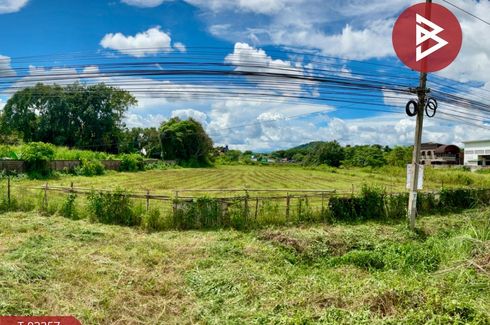 Land for sale in San Sai, Chiang Rai