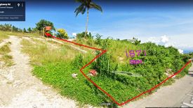 Land for sale in Linao, Cebu