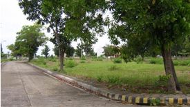 Land for sale in Agus, Cebu