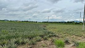 Land for sale in Nong Suea Chang, Chonburi