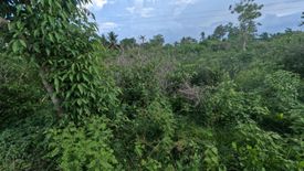 Land for sale in Poblacion, Misamis Oriental