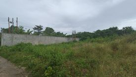 Land for sale in Ibabao, Cebu