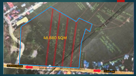 Land for sale in Bantug, Nueva Ecija