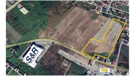 Land for rent in Hermogenes C. Concepcion, Sr., Nueva Ecija