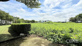 ขายที่ดิน ใน ดอกไม้, ประเวศ