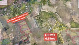 Land for sale in Pangatian, Nueva Ecija