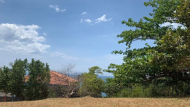 Land for sale in Balaytigui, Batangas