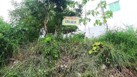 Land for sale in Linao, Cebu