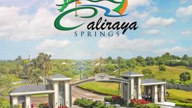 Land for sale in Caliraya, Laguna