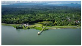Land for sale in Caliraya, Laguna