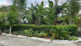 Land for sale in Mactan, Cebu