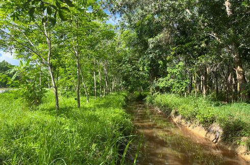 ขายที่ดิน ใน บางทอง, ท้ายเหมือง