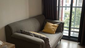 1 Bedroom Condo for rent in Taka Haus Ekamai 12, Khlong Tan Nuea, Bangkok near BTS Ekkamai