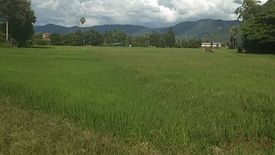 Land for sale in On Tai, Chiang Mai