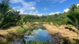 Land for sale in Na Toei, Phang Nga