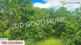 Land for sale in Nong Chang Khuen, Lamphun