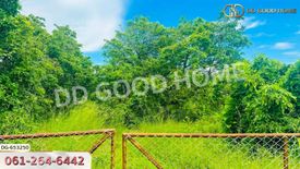 Land for sale in Nong Chang Khuen, Lamphun