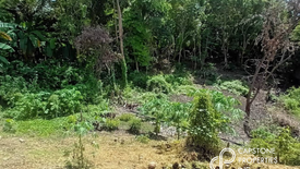 Land for sale in Quipot, Batangas