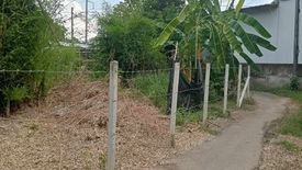 Land for sale in Tha Wang Tan, Chiang Mai