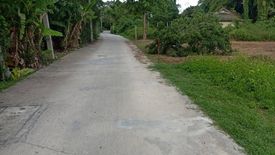 Land for sale in Yang Noeng, Chiang Mai