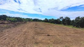 Land for sale in Khua Mung, Chiang Mai