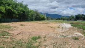 Land for sale in Mueang Kaeo, Chiang Mai