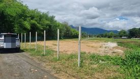 Land for sale in Mueang Kaeo, Chiang Mai