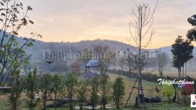 Land for sale in Tha Nuea, Chiang Mai