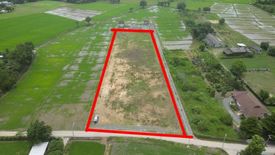 Land for sale in Rong Wua Daeng, Chiang Mai